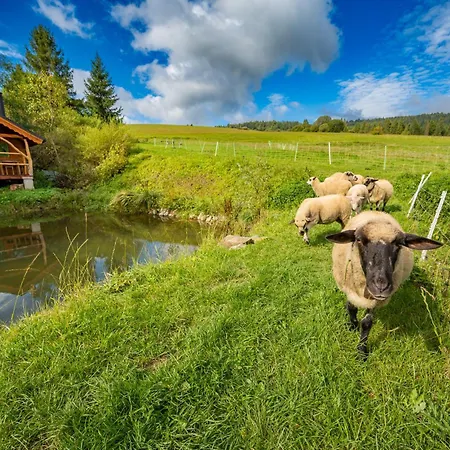 Minikemp Na Palcovce - Minipokoje A Spani V Obytnych Autech אתר קמפינג