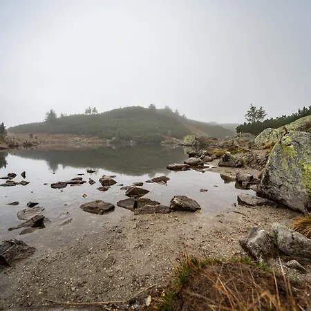 Minikemp Na Palcovce - Minipokoje A Spani V Obytnych Autech אתר קמפינג Huty