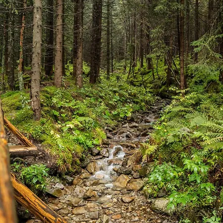 Minikemp Na Palcovce - Minipokoje A Spani V Obytnych Autech *